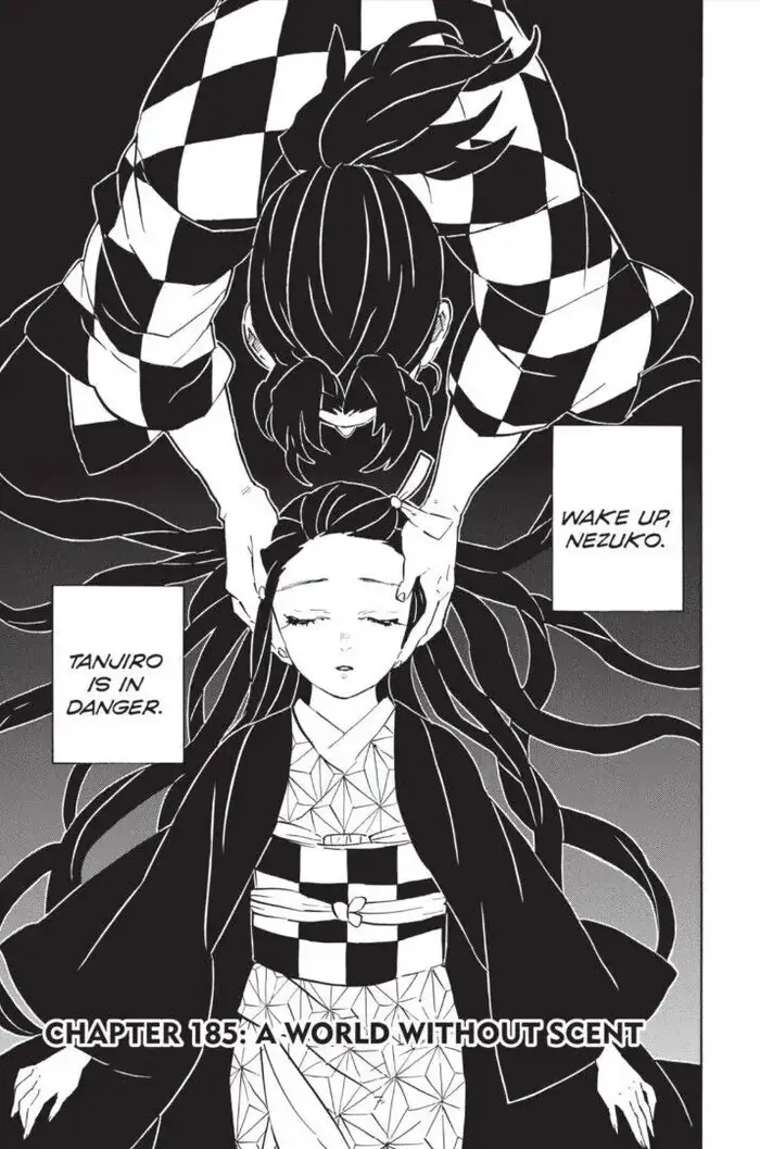 Demon Slayer Chapter 185 image 02_optimized
